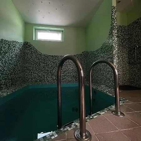 Zeltini 招待所 里加